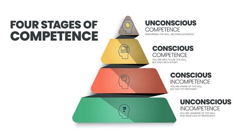 Four Stages Of Competence Wikipedia 41 OFF