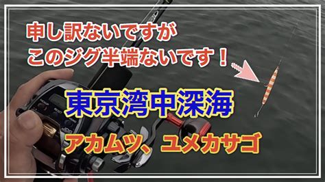 東京湾中深海のジギングでアカムツ連発！ Youtube