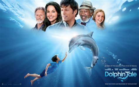 Dolphin Tale - Dolphin Tale Wallpaper (25515792) - Fanpop