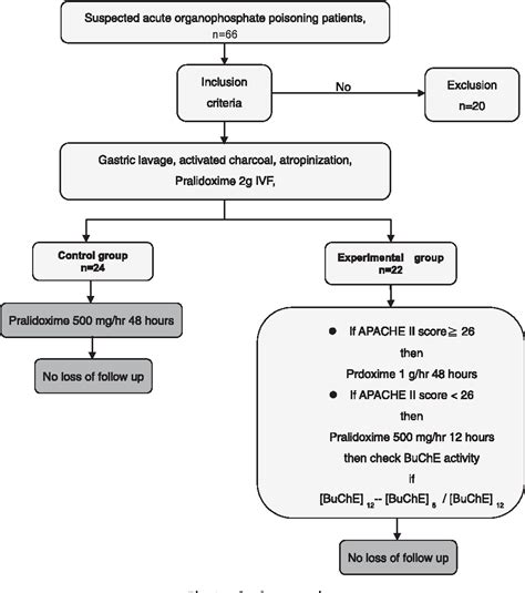 Figure From The Effectiveness Of Patient Tailored Treatment For Acute