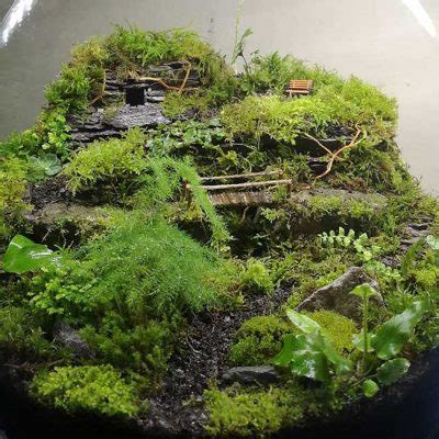 Create A Self-sustaining Terrarium – Craftsmumship