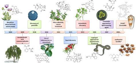 SciELO Brasil - Natural Products: Perspectives and Challenges for use ... 