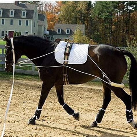 Rollers Side Reins Lunge Lines Training Aids Etc Onthehoof