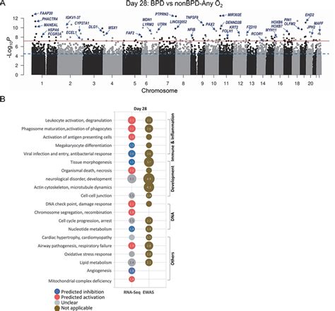 Epigenome Wide Association Study Ewas And Genome Wide Gene Expression