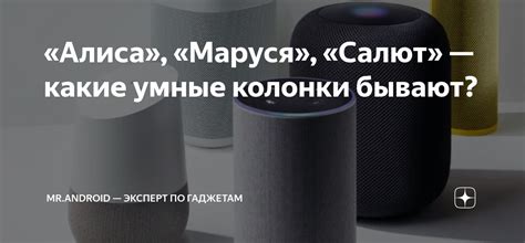 «Алиса», «Маруся», «Салют» — какие умные колонки бывают? | Mr.Android ...