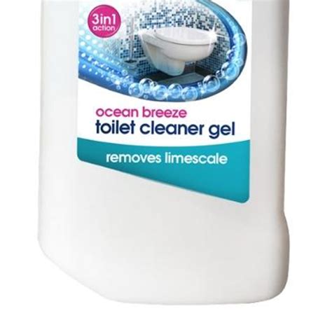 Ecozone toilet Cleaner 750ml | Wilko