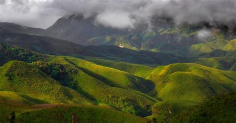 Dzukou Valley - Kohima | Dzukou Valley Photos, Sightseeing -NativePlanet