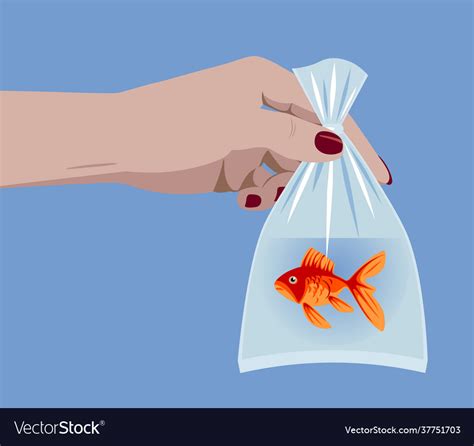 Female Hand Holding A Goldfish In A Plastic Bag Vector Image