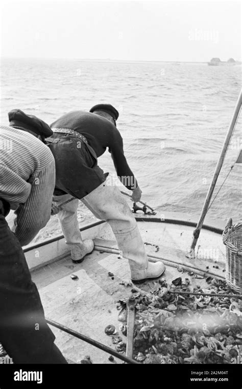 Fischer Bei Der Arbeit Deutsches Reich 1930er Jahre Fishermen At Work