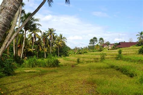 Property Land In Bali For Sale Great View In Canggu Bali 1 350 M2