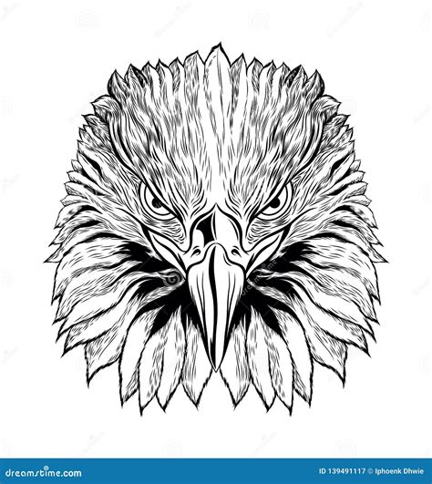 Head of Eagle Black and White, Front View Eagle Head, Vector ...