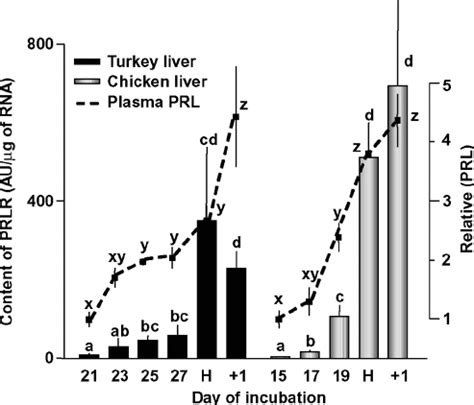 Changes In The Expression Of Prolactin Receptor Prlr Mrna Arbitrary