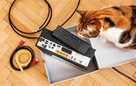 how to protect cords from dogs