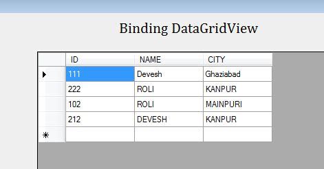 Ways To Bind DataGridView In C Windows Forms