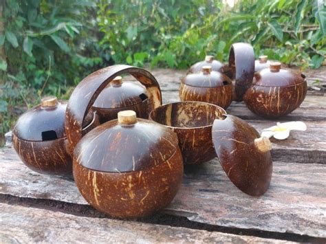 Handmade Coconut Shell Condiment Set Home Kitchen Decor Ts