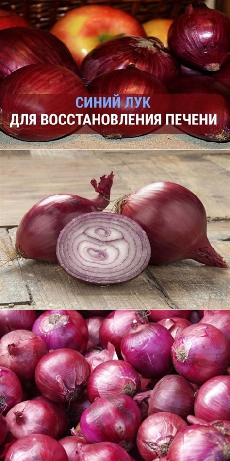 Синий лук для восстановления печени (помогает даже при циррозе!) - Все ...