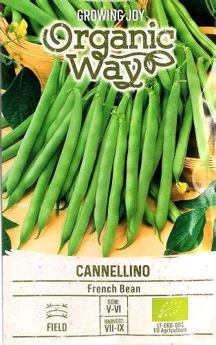 French Bean Dwarf Cannellino Organic Seeds Irish Plants Direct