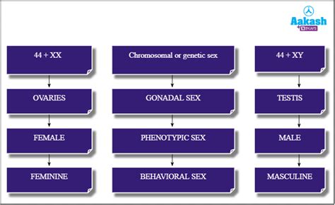 Genotypic Genic Balance Theory Of Sex Determination Aesl