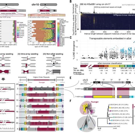 Overview Of All Peri Centromeric Regions In CHM13 A Schematic Of A