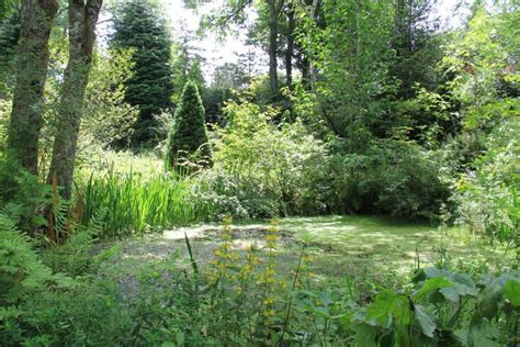 Jardin Remarquable Trois Nouveaux Jardins Labellis S En Nouvelle