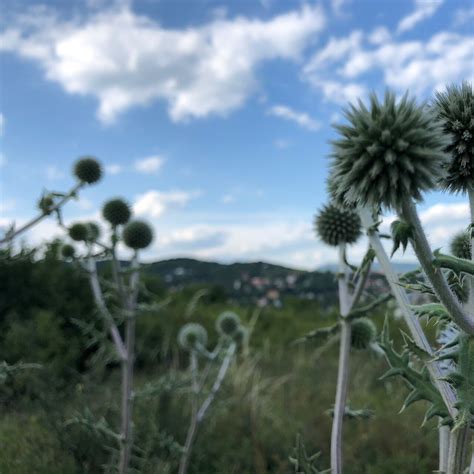 THE BEST Things to Do in Pomaz (2024) - Must-See Attractions