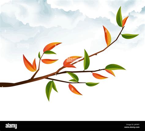 Tree Branch with Green Leaves Stock Photo - Alamy