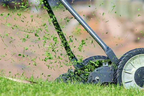 Should You Leave Grass Clippings on Your Lawn? | Happily Outside