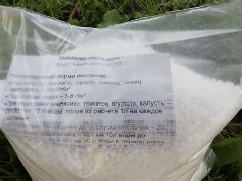 Зачем умные дачники опрыскивают яблони мочевиной до распускания почек ...