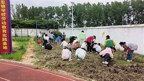 定远县七里塘学校开展劳动基地实践活动凤凰网安徽凤凰网