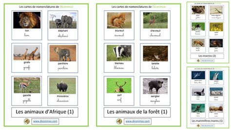 Cartes Nomenclature Animaux Diconimoz