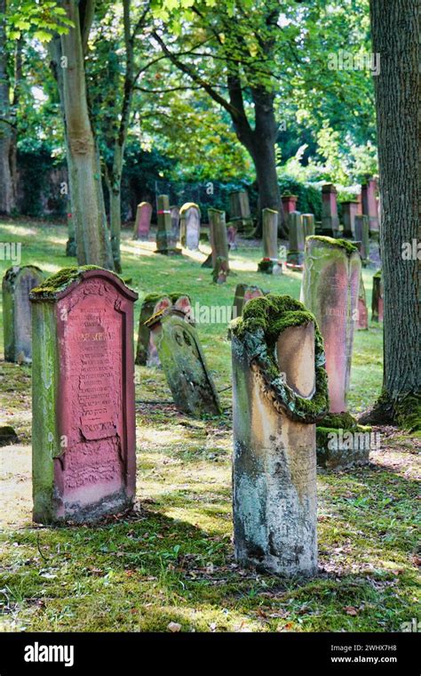 Der Alte J Dische Friedhof Der Sogenannte Judensand Von Mainz Gilt