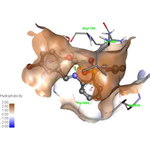 Iucr Synthesis Crystal Structure And In Silico Evaluation Of Aryl