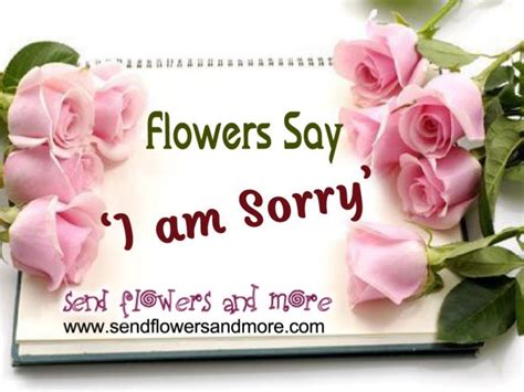 Flowers say ‘i m sorry’