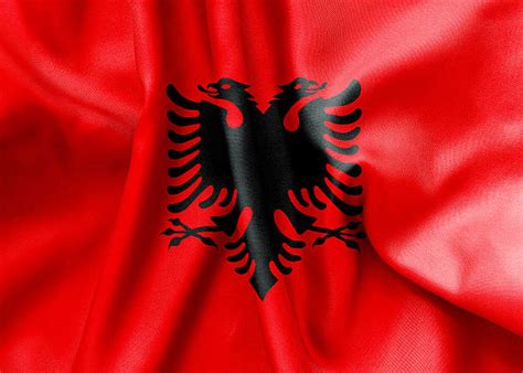 430+ Albania Eagle Stock Photos, Pictures & Royalty-Free Images - iStock