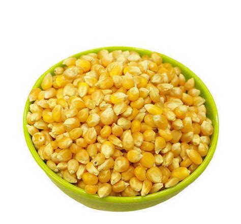 Natural Organic Yellow Maize Corn For Food Processing Packaging Type