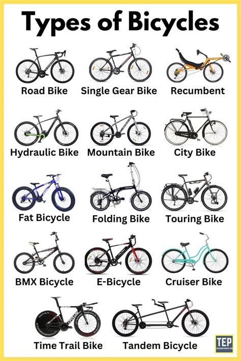 Different Types Of Cycles And Their Applications Explained Bicycle