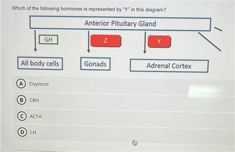 Solved Which Of The Following Hormones Is Represented By Chegg