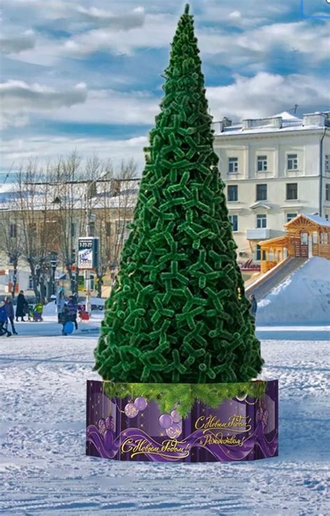 Сосна ствольная «Альпийская» - Высотные елки