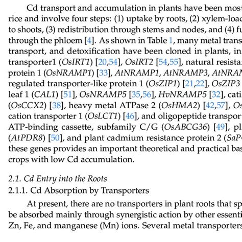 Transcriptional Regulatory Pathways Of Myb Tfs Myb Proteins Are