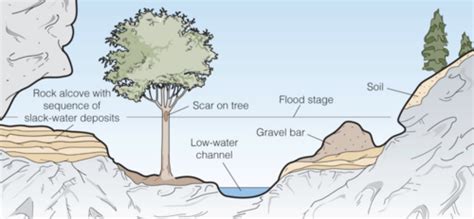 Artificial Levee Diagram