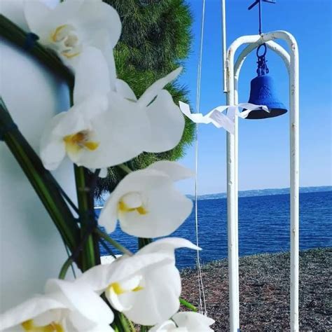 ΖΕΡΜΠΕΡΑ ΓΆΜΟΣ에 있는 zerbera flowers님의 핀