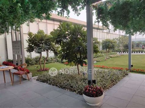 Godrej Woods Sector Noida Noida Sector Without Brokerage Semi