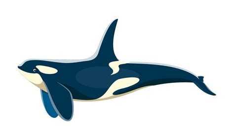 Killer whale animal character, cartoon vector orca 25432651 Vector Art ...