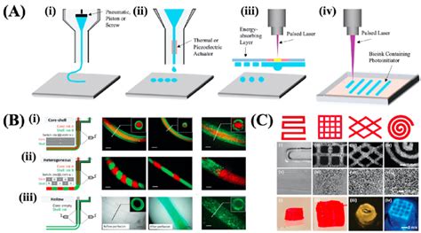 A The Schematic Illustration Of I Microextrusion Based Bioprinting