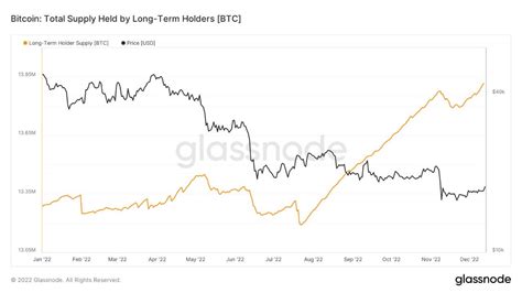 Investigación Los Tenedores A Largo Plazo De Bitcoin Siguen Siendo