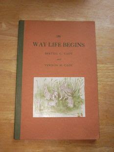 Sex Ed Birds Bees And Bunnies The New Yorker