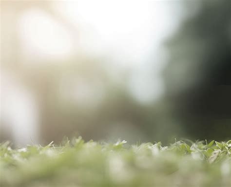 Peppercorn Hill Tools & Help - Peppercorn Hill