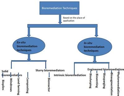 Frontiers Bioremediation Techniques As Affected By Limiting Factors