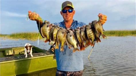 Monster Lake Okeechobee Bluegills Catch Clean Cook BlueGabe Episode 1