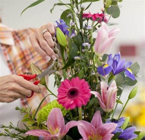 Kukyflor Cuatro trucos caseros efectivos para que tus flores duren más